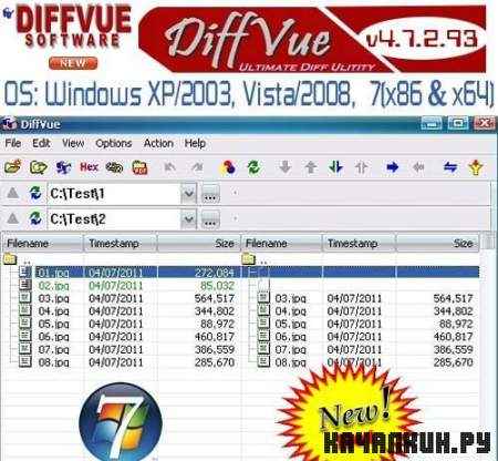 DiffVue v4.7.2.93