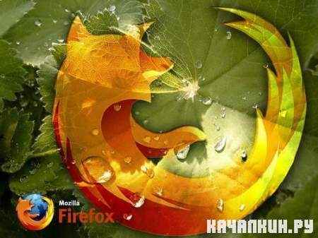 19   Mozilla Firefox