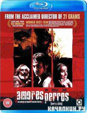 - / Amores perros (2000) BDRip + DVD5