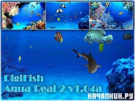 DigiFish Aqua Real 2 v1.04a 