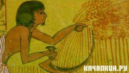 ���. ���� ����� / Nile. River of Gods (1995 / SATRip)