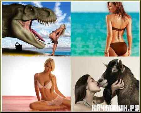 Wallpapers - ���� ��� �������� �����