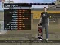Tony Hawks Pro Skater 4 (2003/PC/Eng/Portable)