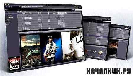Songbird 1.10 beta 1 RuS + Portable