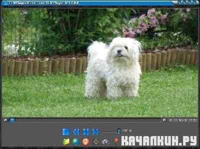 FlvPlayer4Free v 4.4 ML/Rus