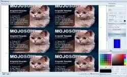 BusinessCards MX 4.3 + ������� 1164 ����� (2011/MULTI/RUS)