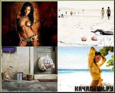 Various wallpapers - ���� ��� �������� �����