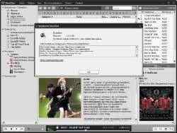 MusicBee - 1.2.4164 Rus