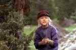 ����� �� ���������� / Emil i Lo"nneberga 1-13 ����� (1974) DVDRip