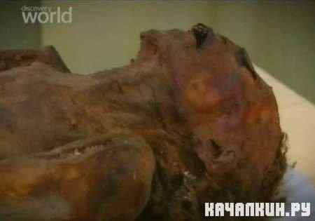 �������� ����� - �������� ������� / Discovery. Mummy Detective - Murder of a Pharaoh (2006 / SATRip)