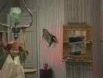   / Pippi Langstrumpf 1-21  (1969) DVDRip