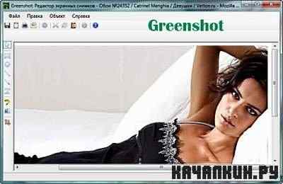 Greenshot 2011 (Rus.) |portable|.