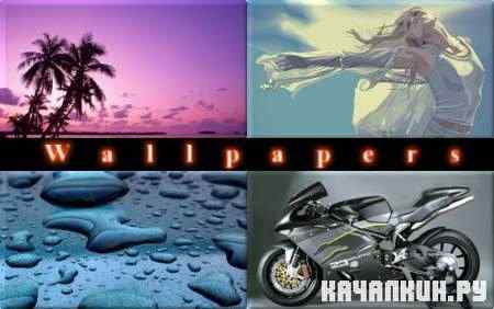 Compilation wallpapers - �������� ��� �������� ����� � 521