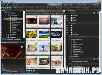 ACDSee Pro 4.0 Build 237 Lite RePack (Rus/Eng)