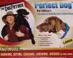     / Secrets to Training the Perfect Dog (2008) DVDRip