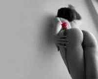 Various wallpapers - �������� ��� �� � 537