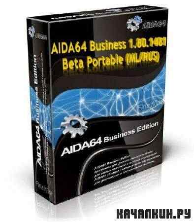 AIDA64 Business Edition 1.80.1481 Beta Portable (ML/RUS)