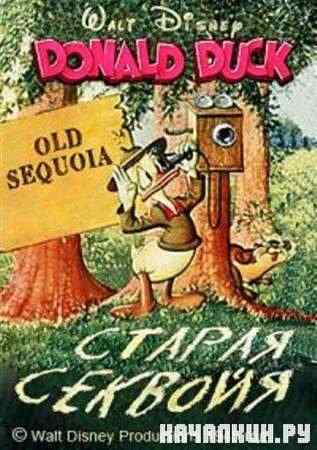 ������ ������� / Old Sequoia (1945 / DVDRip)