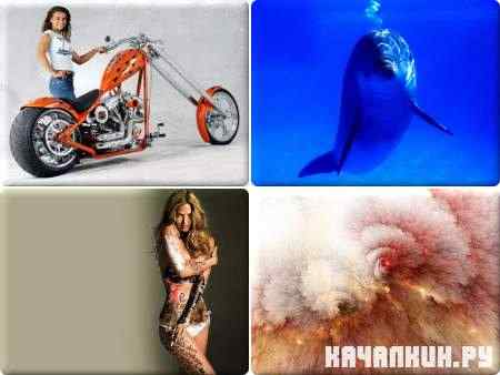 Collection of Wallpaper - ��������� ����� - Mega Pack 300