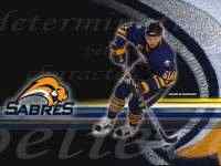 ���� ������ ���/Desktop NHL teams