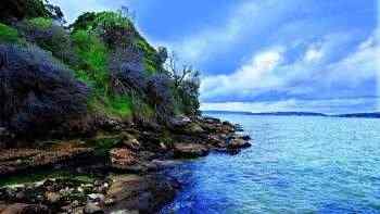 Nature Wallpapers Pack #36