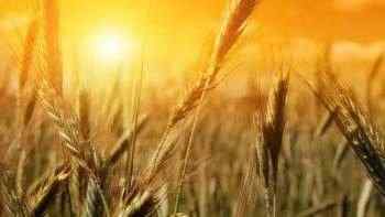 Nature Wallpapers Pack #54