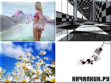 ������� ����� - Pack 304