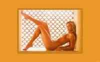 ���� - Mega Pack 309