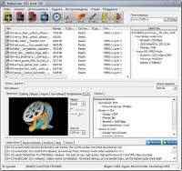 MediaCoder 2011 R8 5182