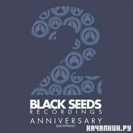 VA - Black Seeds Anniversary LP (2011)