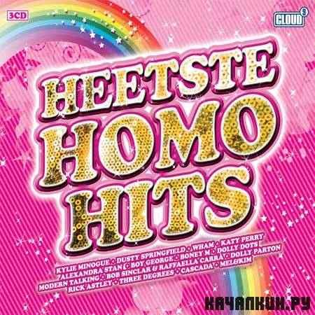 VA - Heetste Homo Hits (2011)
