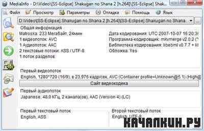 MediaInfo 1.0.3 + Portable