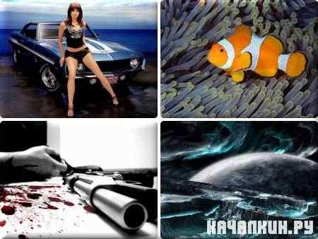 Various Wallpapers for PC -      - Super Pack 318