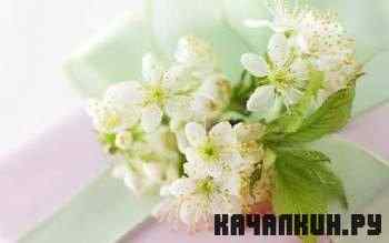 Valina's Wallpapers #8