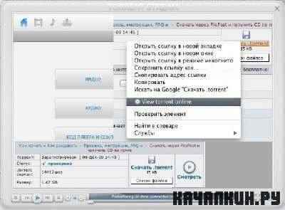 Torrent Stream Magic Player v 1.0 