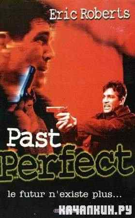 �������� ������� / Past Perfect (1996 / DVDRip)