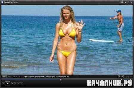 Daum PotPlayer 1.5.29601 Portable (ENG)