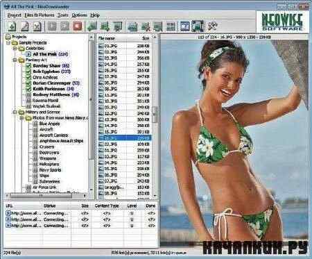 NeoDownloader 2.7.0.148 Portable (ENG)