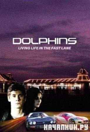  / Dolphins (2007 / DVDRip)