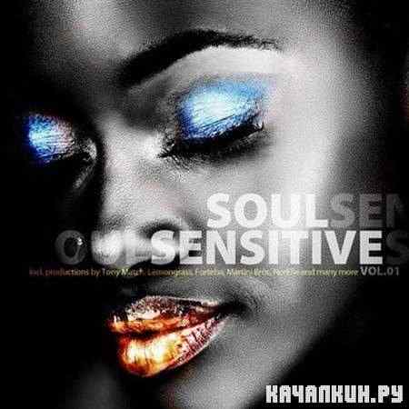 VA - Soul Sensitive Vol.1 (2011)