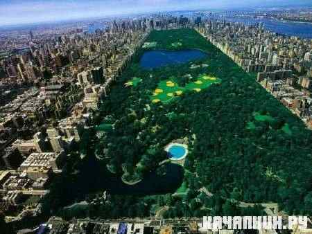  -    - / Central Park in New York