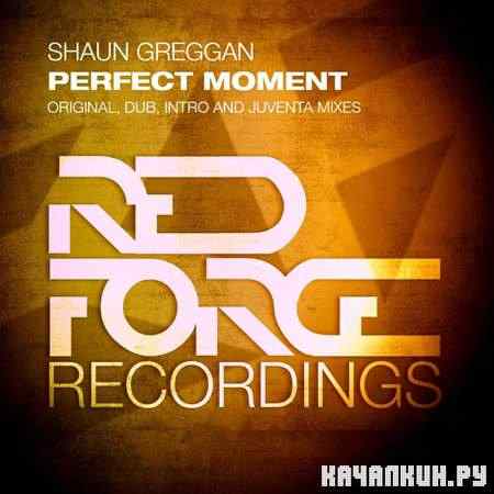 Shaun Greggan - Perfect Moment (2011)