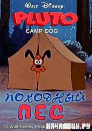 �������� ��� / Camp Dog (1950 / DVDRip)