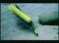 ����� ����. ������� ������ �� ������ (2004) DVDRip
