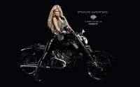 Various Wallpapers for PC - ���� ��� �� - Super Pack 440