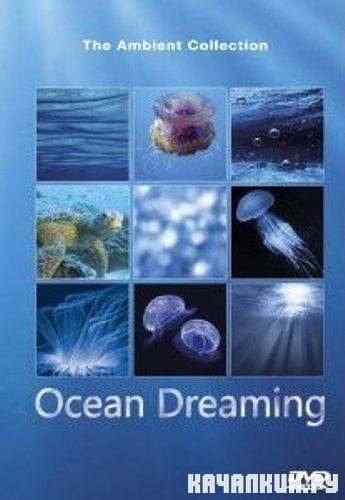 ���� ������ / Ocean Dreaming (2011) DVDRip