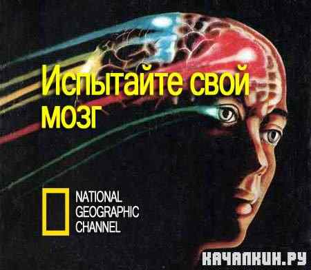 ��������� ���� ���� (3 ����� �� 3) / Test Your Brain (2011) SATRip