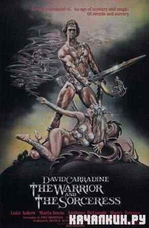 ���� � �������� / The Warrior and the Sorceress (1984 / DVDRip)