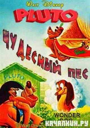 �������� ��� / Wonder Dog (1950 / DVDRip)