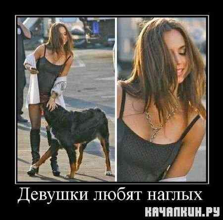 ������ �������� ������������� �� 18.10.2011
